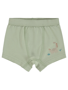 Боксеры для мальчиков Baby Dinazor, размеры 9-18 месяцев - 18.