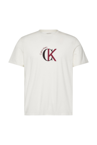 Calvin Klein Jeans мужская футболка LV14RE829G белая - 20