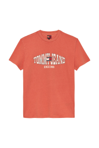 Tommy Jeans мужская футболка DM0DM22520 красная - 20