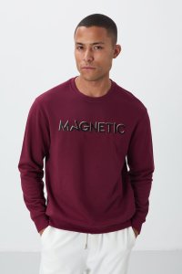 Свитшот для мужчин с круглым вырезом и вышивкой Erguvan Yazı, удобная форма, утепленный внутри - 88020.