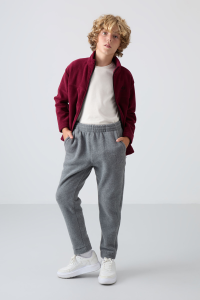 Серый меланж толстый мягкий текстурированный стандартный фит с вышивкой флисовые брюки для мальчиков - 11219