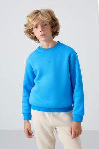Свитшот для мальчиков стандартной посадки с вышивкой из толстого хлопка, мягкой текстуры и с утеплителем внутри - 11232.