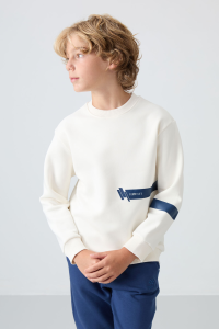 Экрю хлопковый толстый мягкий свитшот с флисовой подкладкой для мальчиков стандартной посадки с принтом - 11238