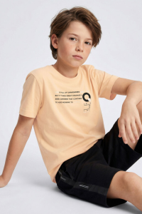 Тенниска для мальчиков стандартного кроя с округлым вырезом и принтом в виде дынь - 11145.